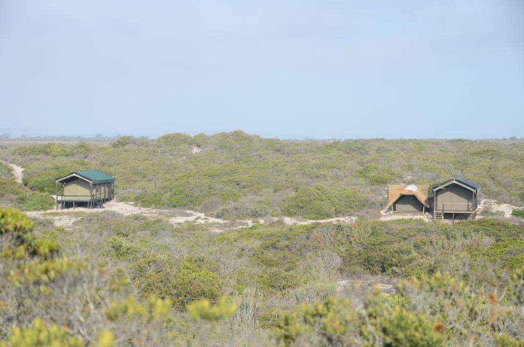 West Coast Luxury Tents Dwarskersbos Экстерьер фото