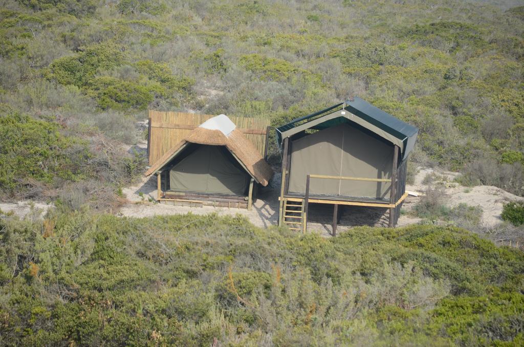 West Coast Luxury Tents Dwarskersbos Экстерьер фото