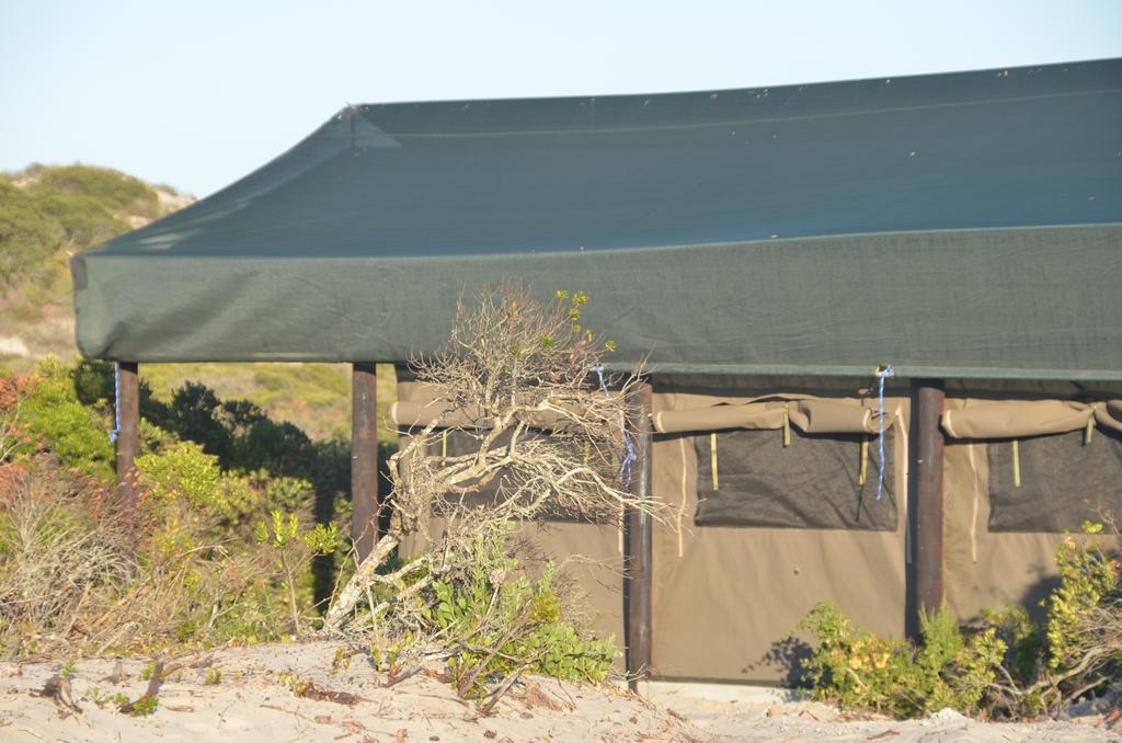 West Coast Luxury Tents Dwarskersbos Экстерьер фото