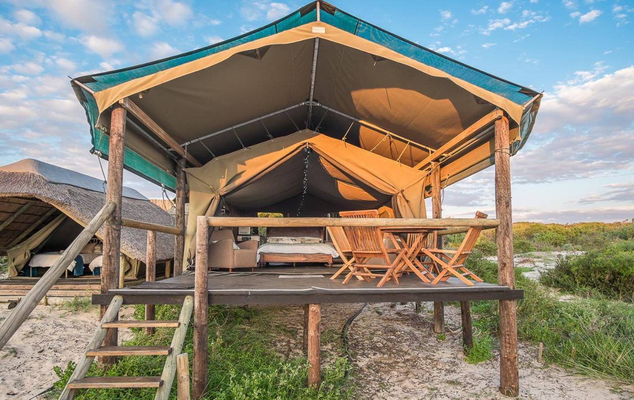 West Coast Luxury Tents Dwarskersbos Экстерьер фото